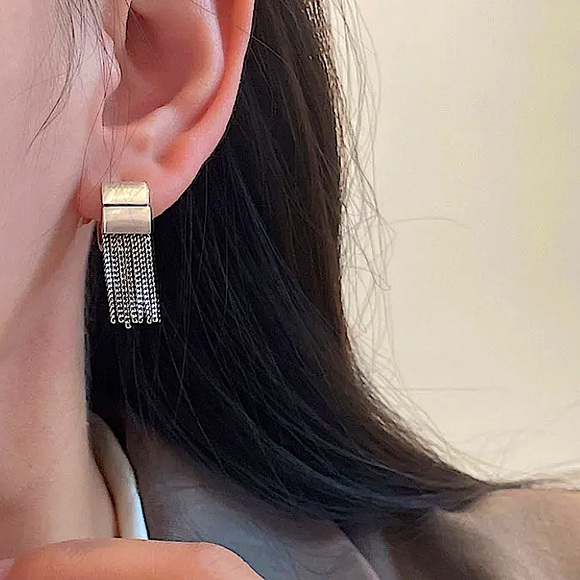 Sterling Silver Chain Tassel Fringe Punk Earrings - Picture 3 of 6